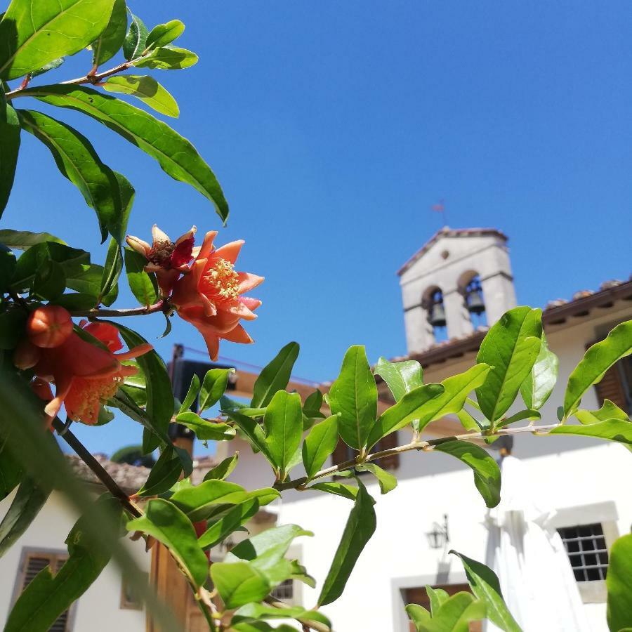 Апартаменти Borgo Sant'Andrea Al Pozzo Кастільон-Фйорентіно Екстер'єр фото